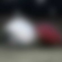 Web Developers Conference